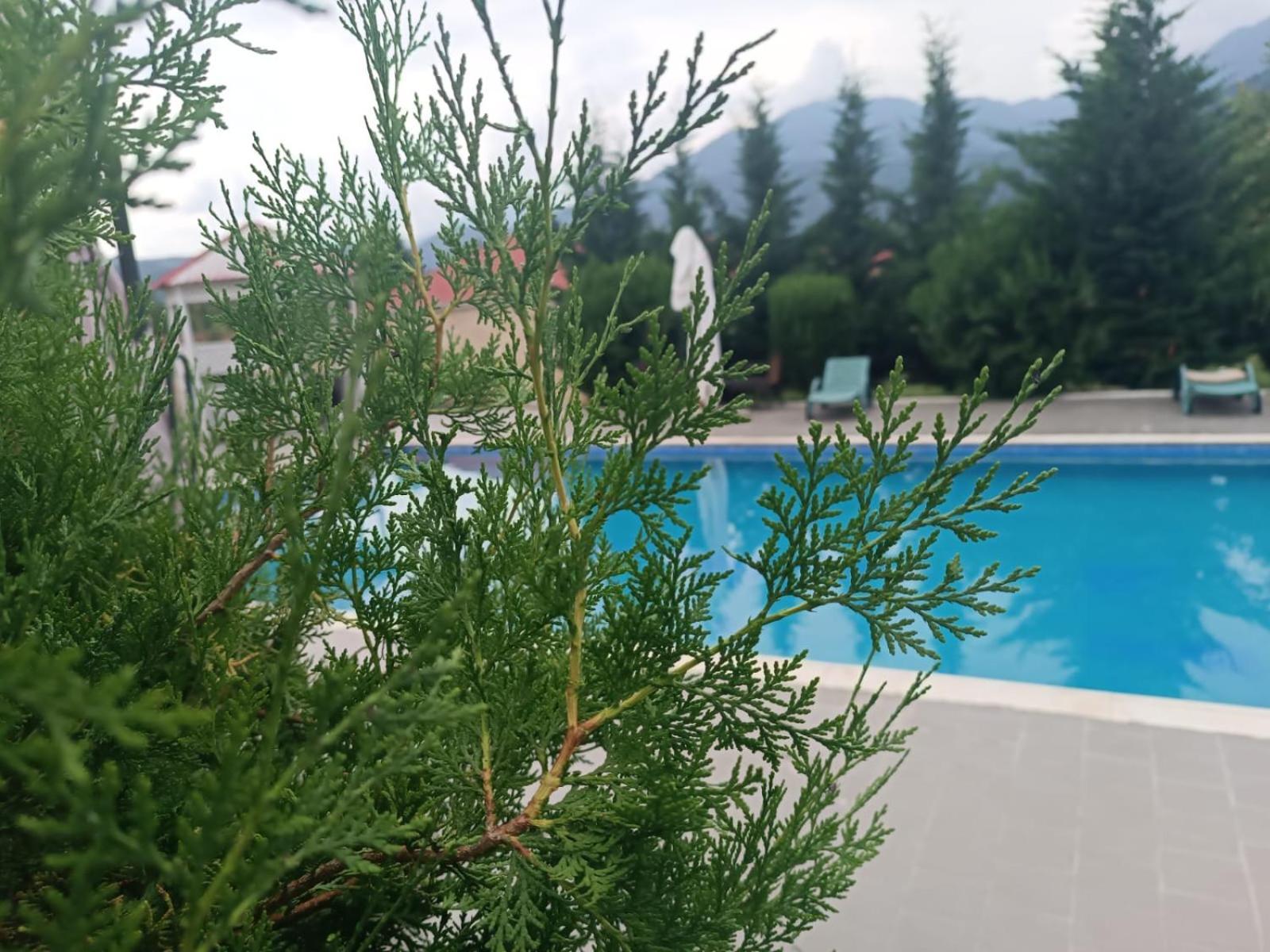 Gabala Bliss Inn Hotel And Restaurant Eksteriør bilde