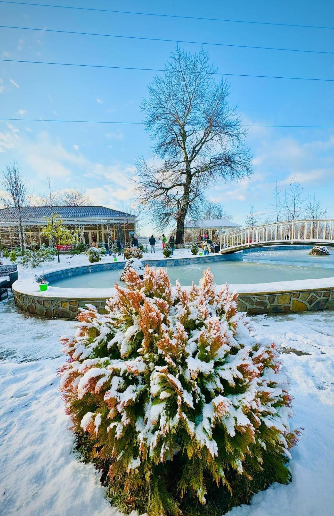 Gabala Bliss Inn Hotel And Restaurant Eksteriør bilde